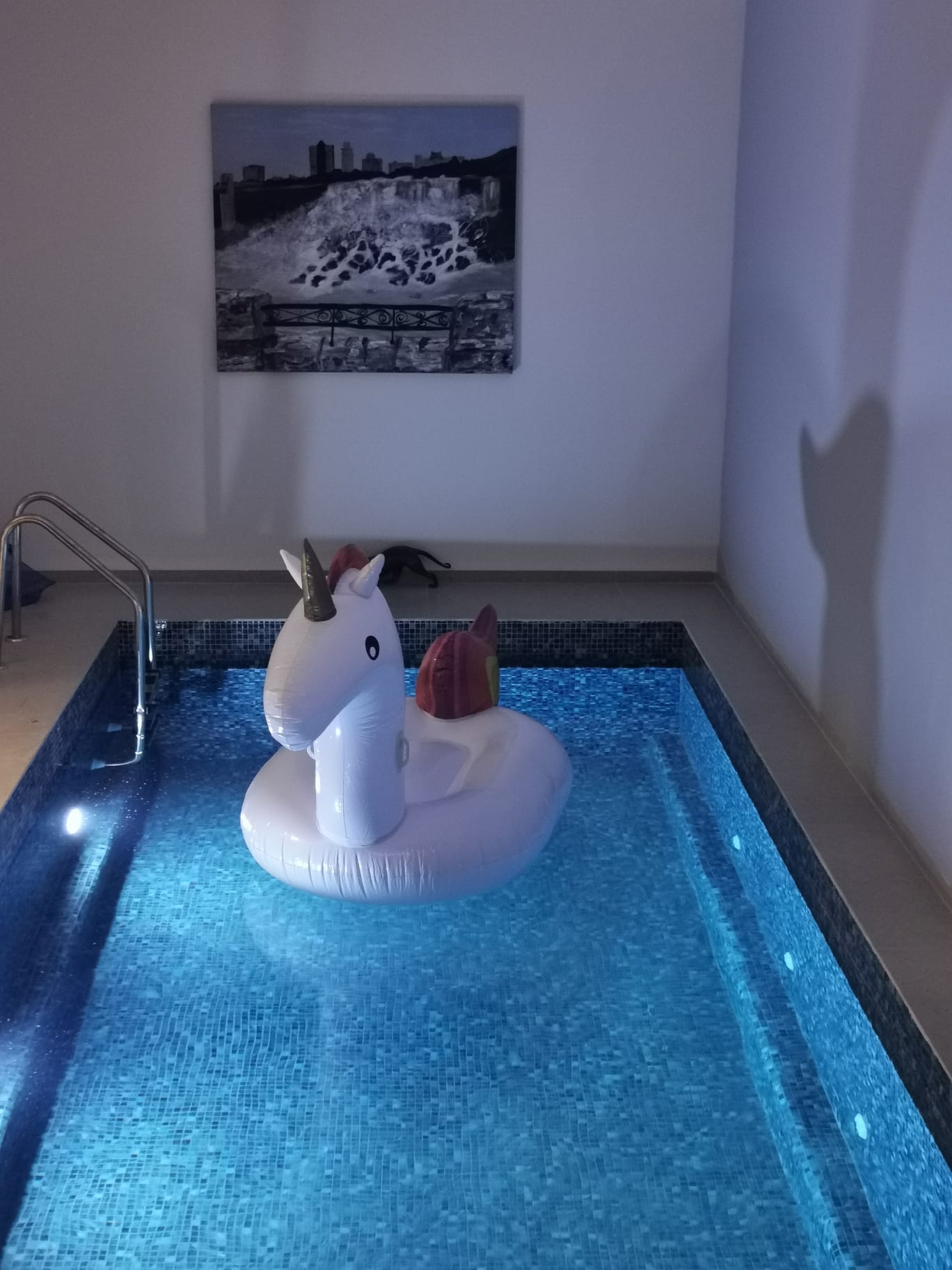 בריכה בבית הראשי